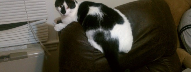 To post or not to post