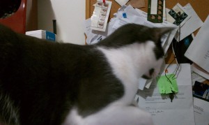 Helpful Lenny is Helpful!