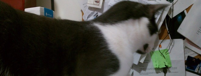 It’s Still Saturday Somewhere